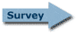 Survey - Analyze main system
